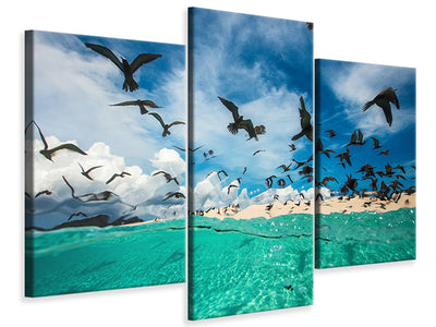 modern-3-piece-canvas-print-ocean-bird