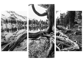 modern-3-piece-canvas-print-old-tree