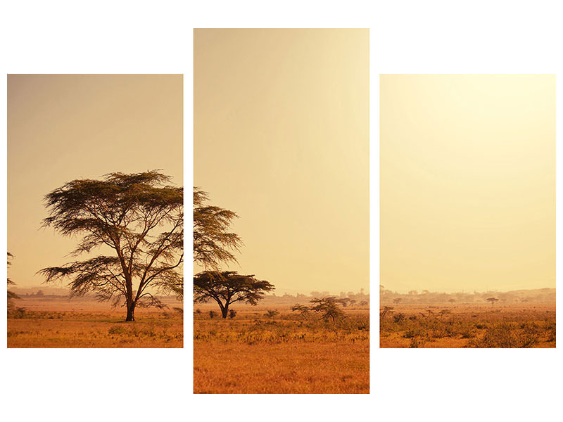 modern-3-piece-canvas-print-pastures-in-kenya