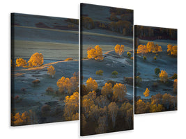 modern-3-piece-canvas-print-prairie-light