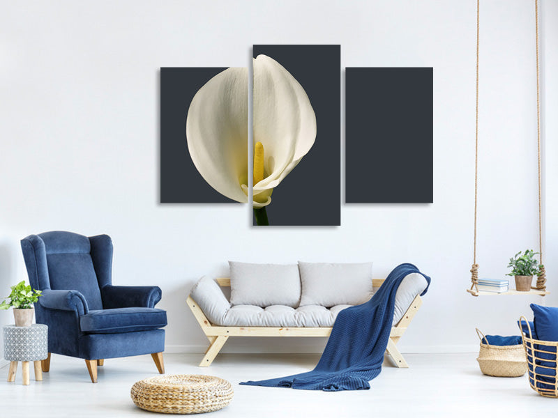 modern-3-piece-canvas-print-proud-calla