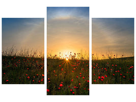 modern-3-piece-canvas-print-red-poppies-and-sunrise