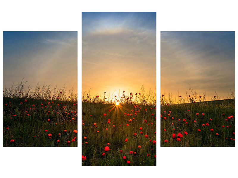 modern-3-piece-canvas-print-red-poppies-and-sunrise