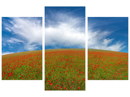 modern-3-piece-canvas-print-red-poppies