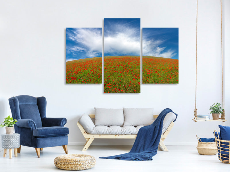 modern-3-piece-canvas-print-red-poppies