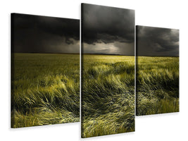 modern-3-piece-canvas-print-summer-weather