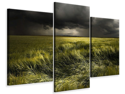 modern-3-piece-canvas-print-summer-weather
