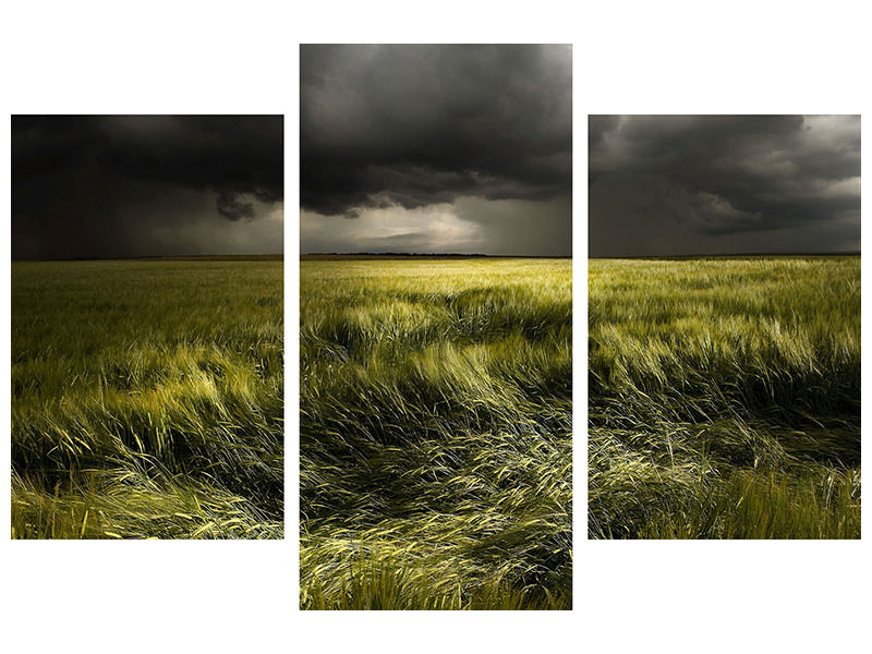 modern-3-piece-canvas-print-summer-weather