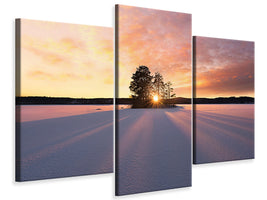 modern-3-piece-canvas-print-sun-kissed
