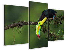 modern-3-piece-canvas-print-the-colors-of-costa-rica
