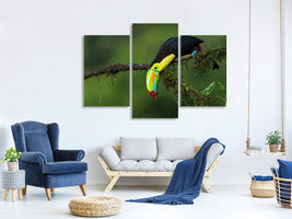 modern-3-piece-canvas-print-the-colors-of-costa-rica