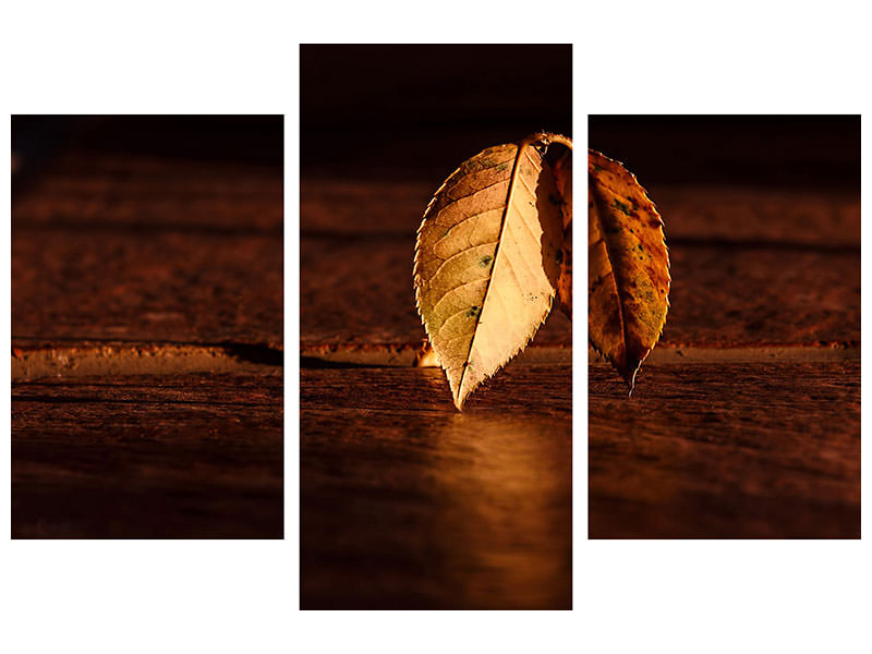 modern-3-piece-canvas-print-the-leaf