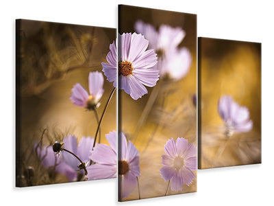 modern-3-piece-canvas-print-the-lion-king