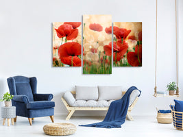 modern-3-piece-canvas-print-the-poppy