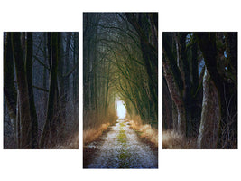 modern-3-piece-canvas-print-the-tree-avenue
