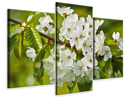 modern-3-piece-canvas-print-white-flowers-in-xl