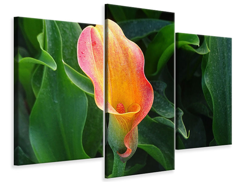 modern-3-piece-canvas-print-wild-calla