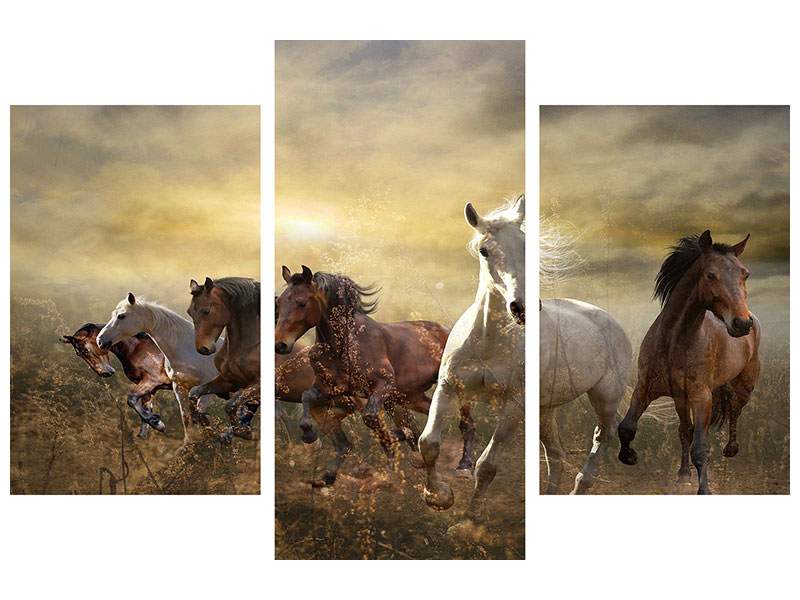 modern-3-piece-canvas-print-wild-wild-horses