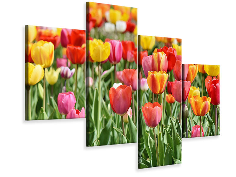 modern-4-piece-canvas-print-a-colorful-tulip-field