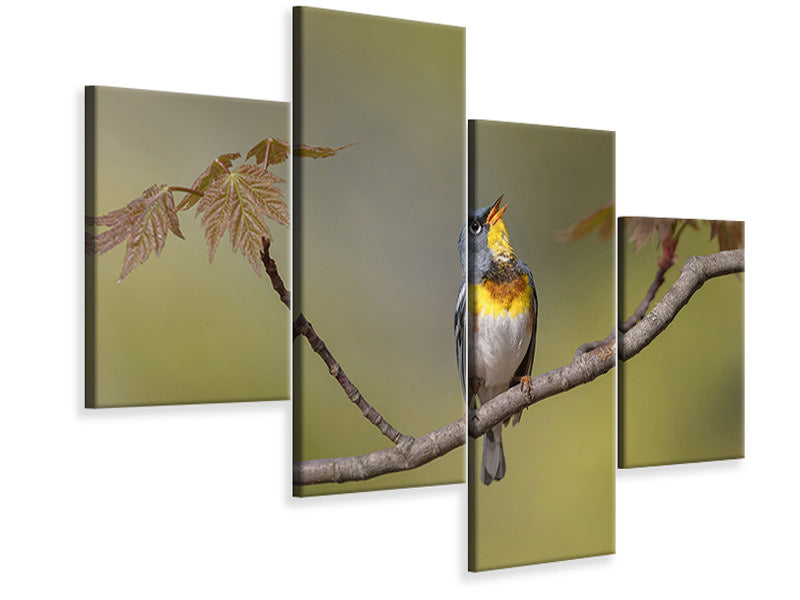modern-4-piece-canvas-print-parula-on-stage
