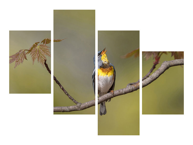 modern-4-piece-canvas-print-parula-on-stage