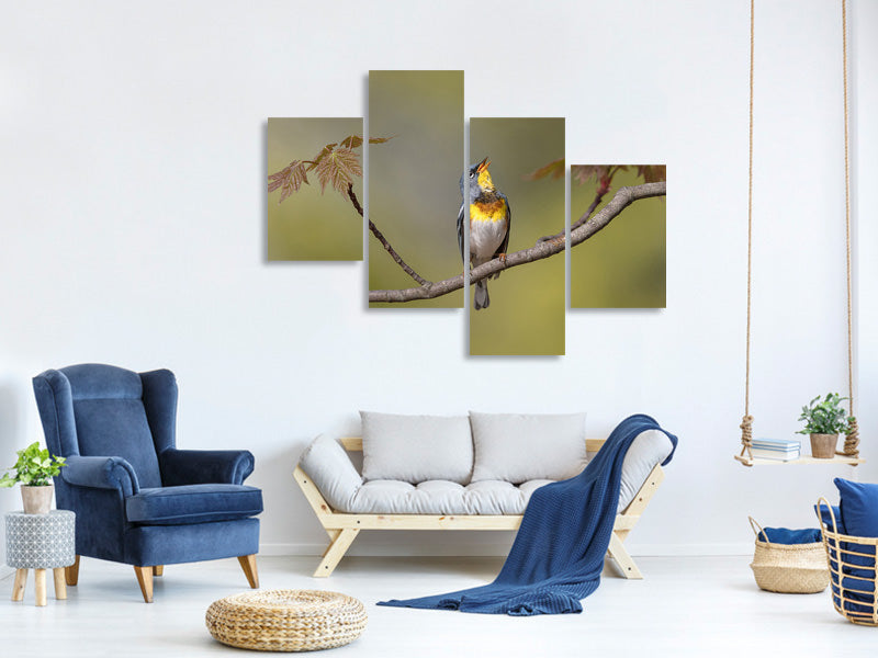 modern-4-piece-canvas-print-parula-on-stage