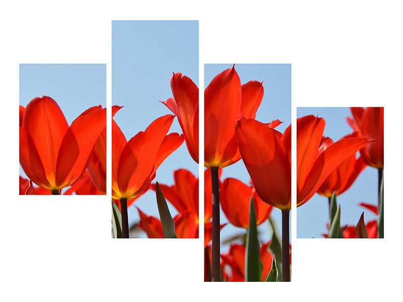 modern-4-piece-canvas-print-red-tulips-xl