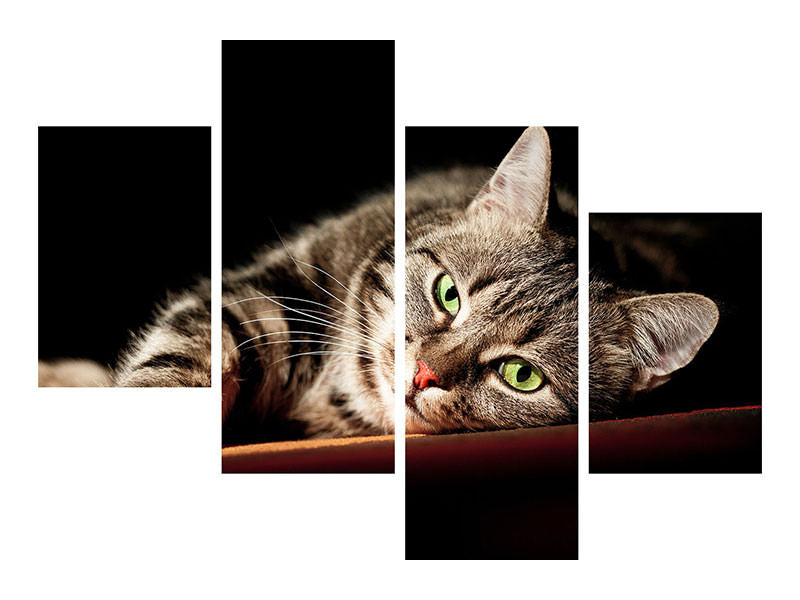 modern-4-piece-canvas-print-relaxed-cat