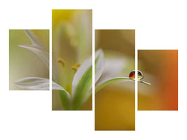 modern-4-piece-canvas-print-sound-of-colors