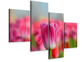 modern-4-piece-canvas-print-tulip-field-in-pink-red