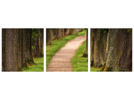 panoramic-3-piece-canvas-print-a-path-in-the-forest