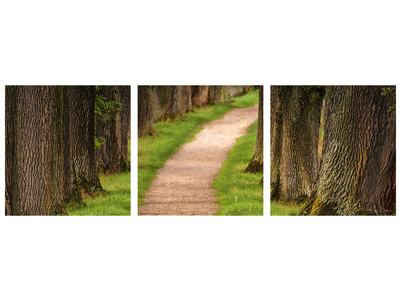 panoramic-3-piece-canvas-print-a-path-in-the-forest