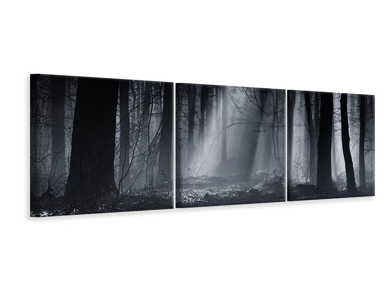 panoramic-3-piece-canvas-print-capela-forest