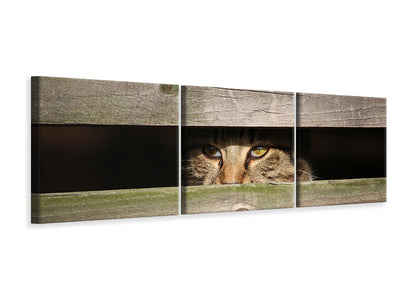 panoramic-3-piece-canvas-print-cat-in-hiding