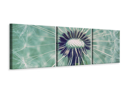 panoramic-3-piece-canvas-print-close-up-dandelion