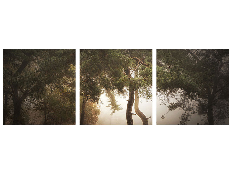 panoramic-3-piece-canvas-print-foggy-memory-of-the-past-iii