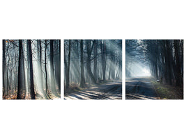 panoramic-3-piece-canvas-print-forest-in-the-light-beam