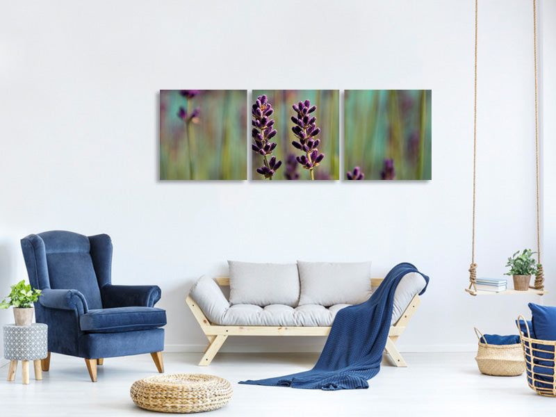 panoramic-3-piece-canvas-print-lavender-in-xl