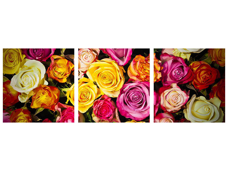 panoramic-3-piece-canvas-print-many-colorful-rose-petals