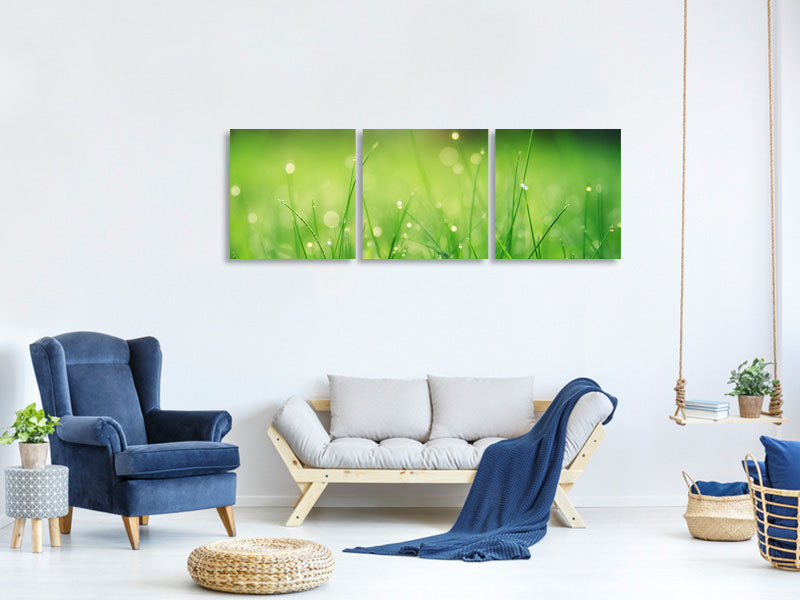 panoramic-3-piece-canvas-print-meadow-with-morning-dew