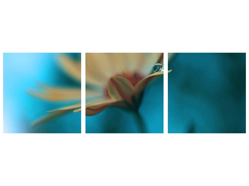 panoramic-3-piece-canvas-print-memories-of-sea