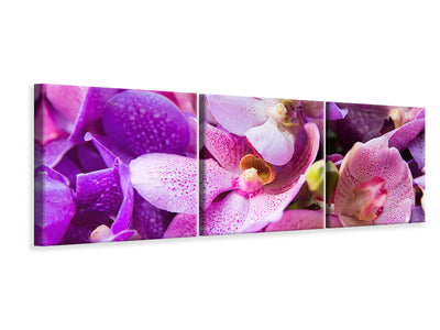 panoramic-3-piece-canvas-print-orchid-paradise