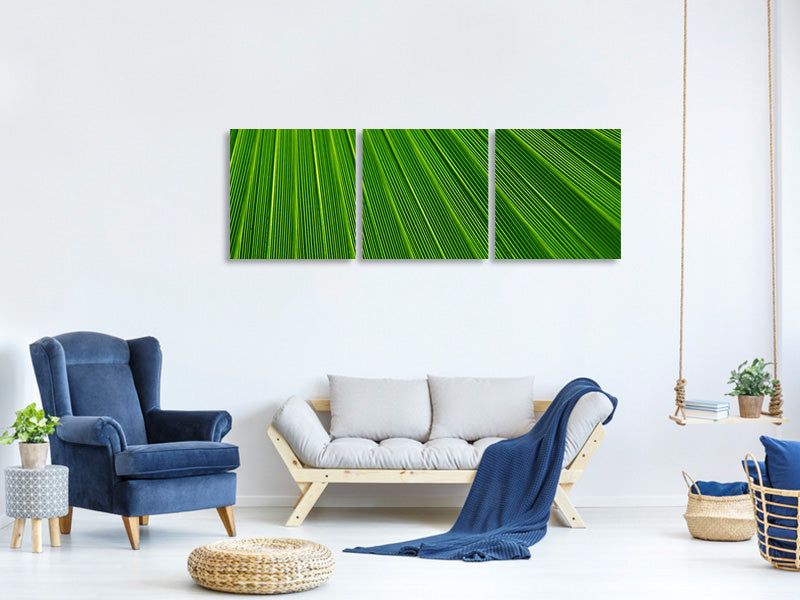 panoramic-3-piece-canvas-print-palm-stripe-i