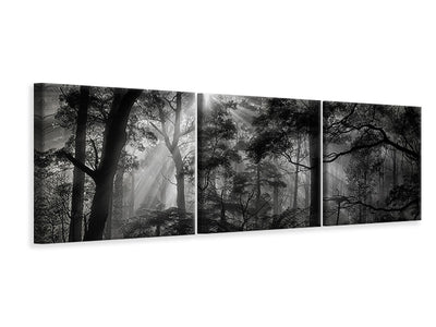 panoramic-3-piece-canvas-print-primary-forest