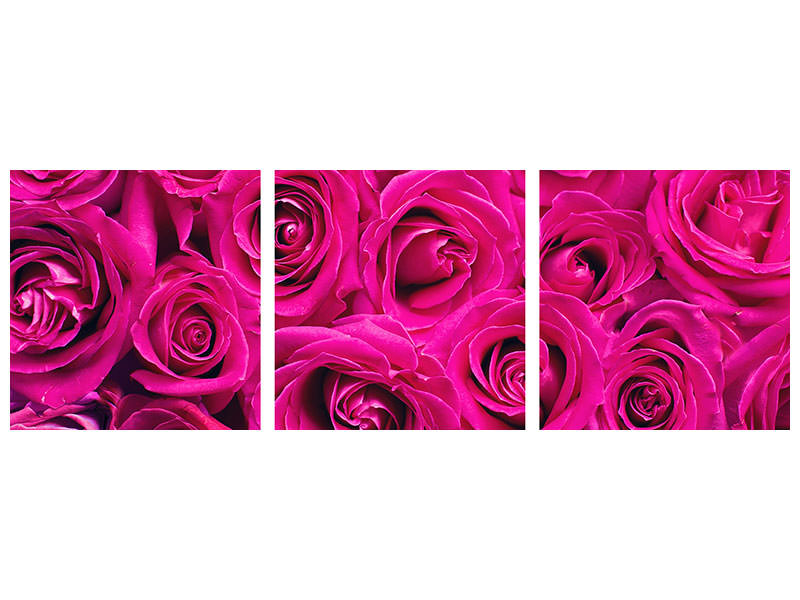 panoramic-3-piece-canvas-print-rose-petals-in-pink