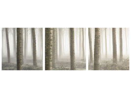 panoramic-3-piece-canvas-print-small-woodland