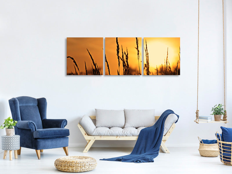 panoramic-3-piece-canvas-print-sunrise-on-the-field