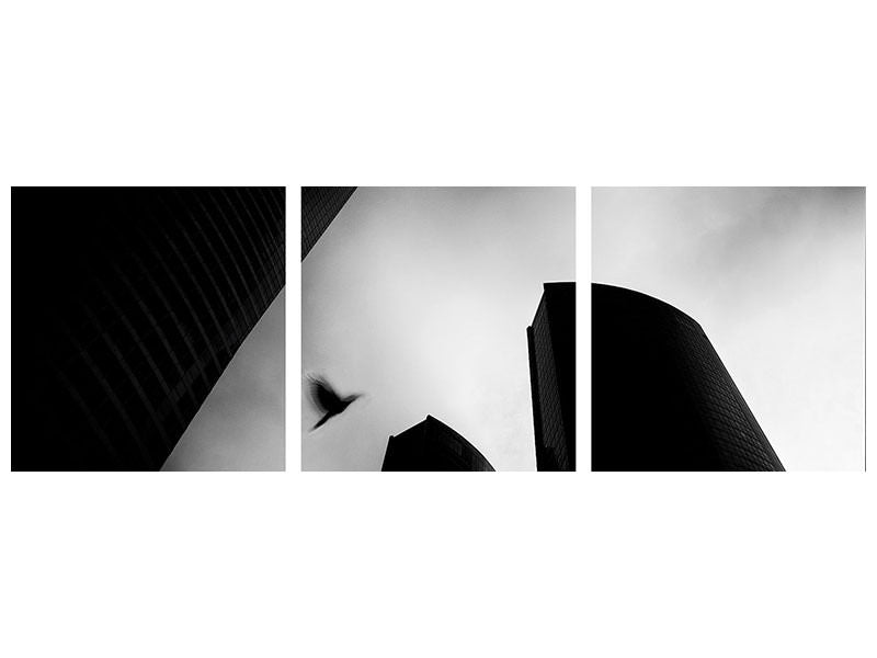 panoramic-3-piece-canvas-print-the-lost-bird-homage-for-andra-kertasz