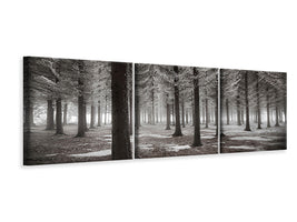 panoramic-3-piece-canvas-print-the-onset-of-winter