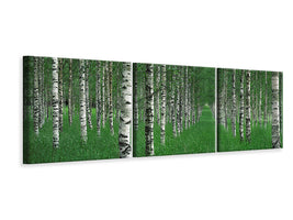 panoramic-3-piece-canvas-print-the-tunnel
